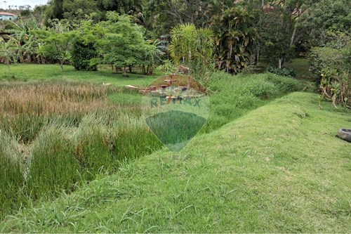 Venda-Chácara / Sítio / Fazenda-BAIRRO IGREJINHA , Juiz de Fora , Minas Gerais , 36091205-860281098-63