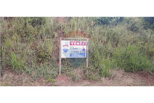 For Sale-Land-FAZENDA DO TANQUE , 05  - Próximo à BR 267  - Igrejinha , Juiz de Fora , Minas Gerais , 36091-237-860231031-13