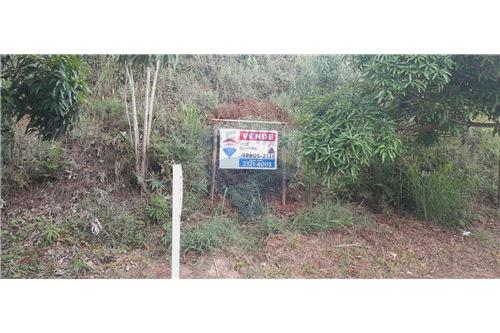 For Sale-Land-FAZENDA DO TANQUE , 03  - Próximo á BR 267  - Igrejinha , Juiz de Fora , Minas Gerais , 36091-237-860231031-11