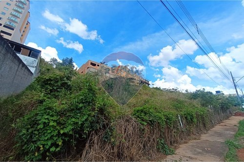 Venda-Terreno-Manoel Corrêa , Conselheiro Lafaiete , Minas Gerais , 36401214-860421022-164