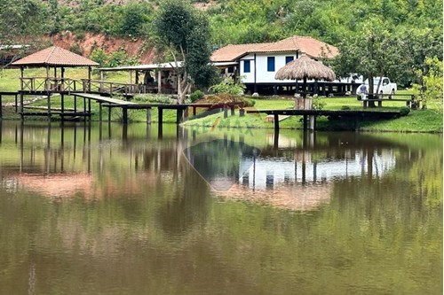 Venda-Chácara / Sítio / Fazenda-Centro , Mercês , Minas Gerais , 36190000-860291033-77