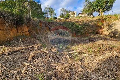 Venda-Terreno-São Francisco , Muriaé , Minas Gerais , 36881048-860371002-204