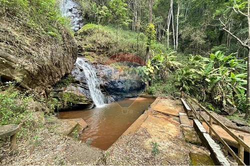 Venda-Chácara / Sítio / Fazenda-Centro , Lima Duarte , Minas Gerais , 36140000-860291033-123