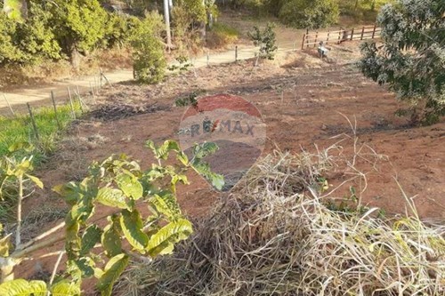 Venda-Terreno-Centro , Coronel Pacheco , Minas Gerais , 36155-000-860271015-16