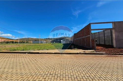 Venda-Terreno-Barra , Muriaé , Minas Gerais , 36886161-860371002-209