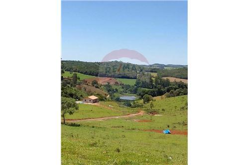 Venda-Chácara / Sítio / Fazenda-Almeidas , Conselheiro Lafaiete , Minas Gerais , 36409200-860421018-9