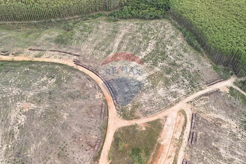 Venda-Terreno-Conceicao Da Ibitipoca , Lima Duarte , Minas Gerais , 36140000-860291033-138