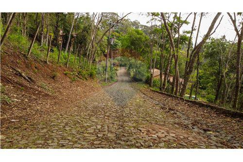 Venda-Terreno-Rua Afonso Henrique H Botti , 27  - Seminário Floresta  - Floresta , Juiz de Fora , Minas Gerais , 36072094-860211074-8