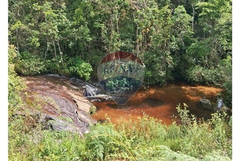 Venda-Chácara / Sítio / Fazenda-Centro , Rio Preto , Minas Gerais , 36132000-860281098-67