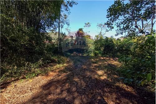 Venda-Terreno-Rua D , 20  - Previdenciários , Juiz de Fora , Minas Gerais , 36031290-860501012-20