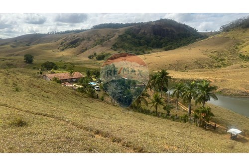 Venda-Chácara / Sítio / Fazenda-Centro , Leopoldina , Minas Gerais , 36700001-860291033-118