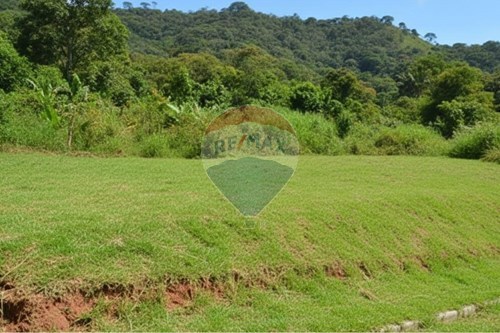 Venda-Terreno-Jardim Europa , Conselheiro Lafaiete , Minas Gerais , 36406481-860421030-30