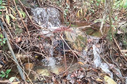 Slider Image Thumbnail