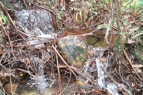 Slider Image Thumbnail