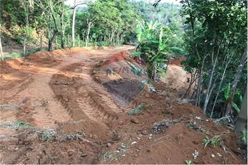Venda-Chácara / Sítio / Fazenda-estrada ponte do arco , 08  - ponte do arco  - Matias Barbosa , Matias Barbosa , Minas Gerais , 36120-000-860291033-113