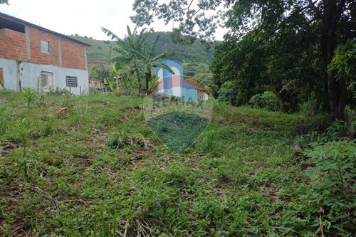 Venda-Terreno-Rua Borboleta , 42  - Ao lado da Igreja N. Sra. de Fátima  - Centro , Carangola , Minas Gerais , 36800000-860501015-91