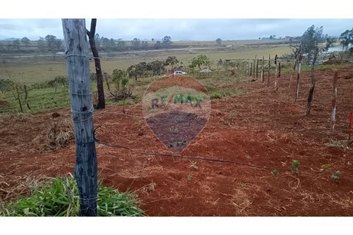 Venda-Terreno-Queluzito , Minas Gerais , 36424000-860421030-39