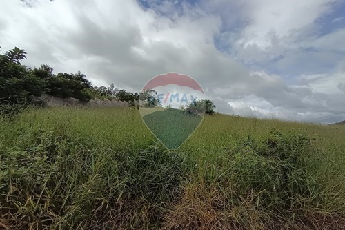 Venda-Terreno-Rua Pedro Agostinho , 1  - Grama , Juiz de Fora , Minas Gerais , 36048-320-860281170-7