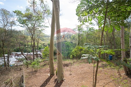 Venda-Terreno-Rua Afonso Henrique Hargreaves Botti , 272  - Próximo do Seminário do Floresta  - Floresta , Juiz de Fora , Minas Gerais , 36072094-860211074-39