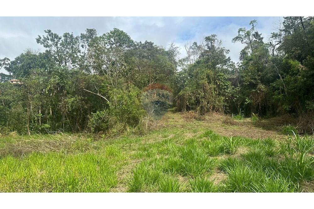 Terreno - Venda - Juiz de Fora , Minas Gerais - WhatsApp Image 2024-12-23 at 10.33.12 (1).jpeg - 860291033-70