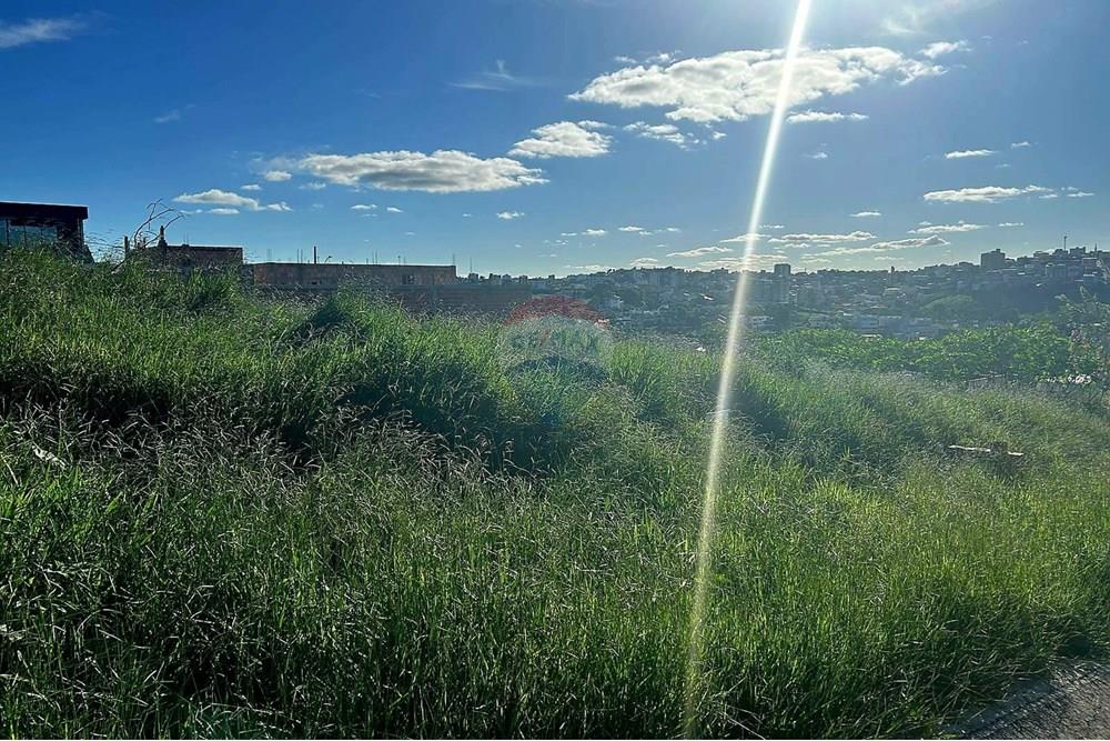 Terreno - Venda - Conselheiro Lafaiete , Minas Gerais - Imagem do WhatsApp de 2025-08-28 à(s) 15.42.30_31f461e1.jpg - 860421021-44