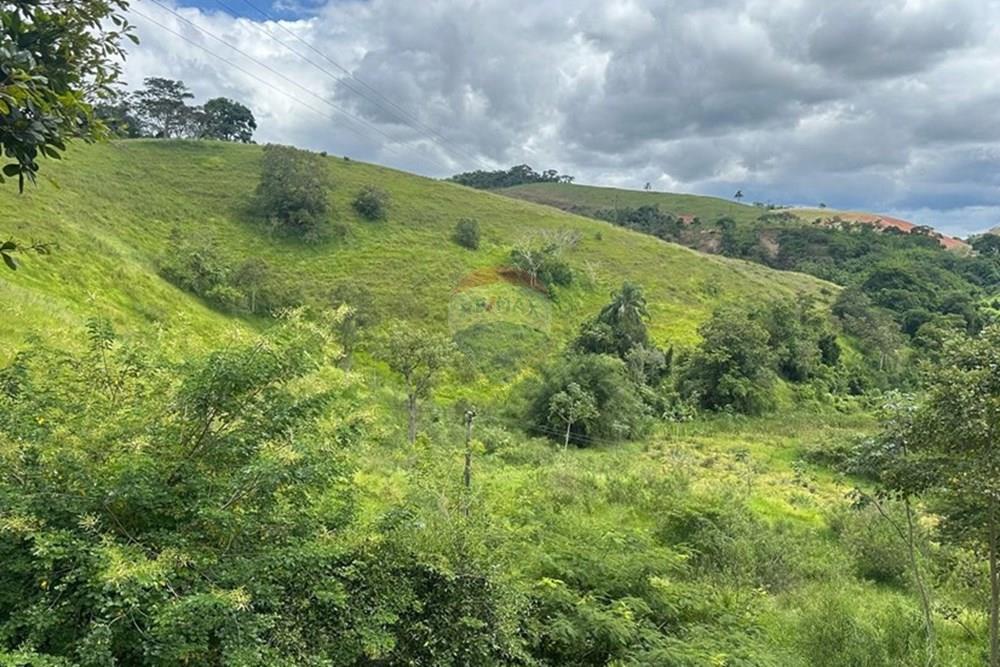 Terreno - Venda - Matias Barbosa , Minas Gerais - 2879ba63-075b-48de-9dd3-2deacbbe6297.JPG - 860291033-86