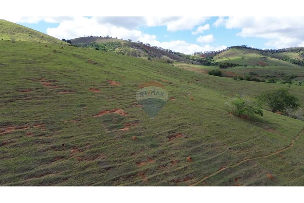 Agro - Venda - Rochedo de Minas , Minas Gerais - 56d13676-97f3-4bb1-8265-d0eb7894df9d.JPG - 860291041-34