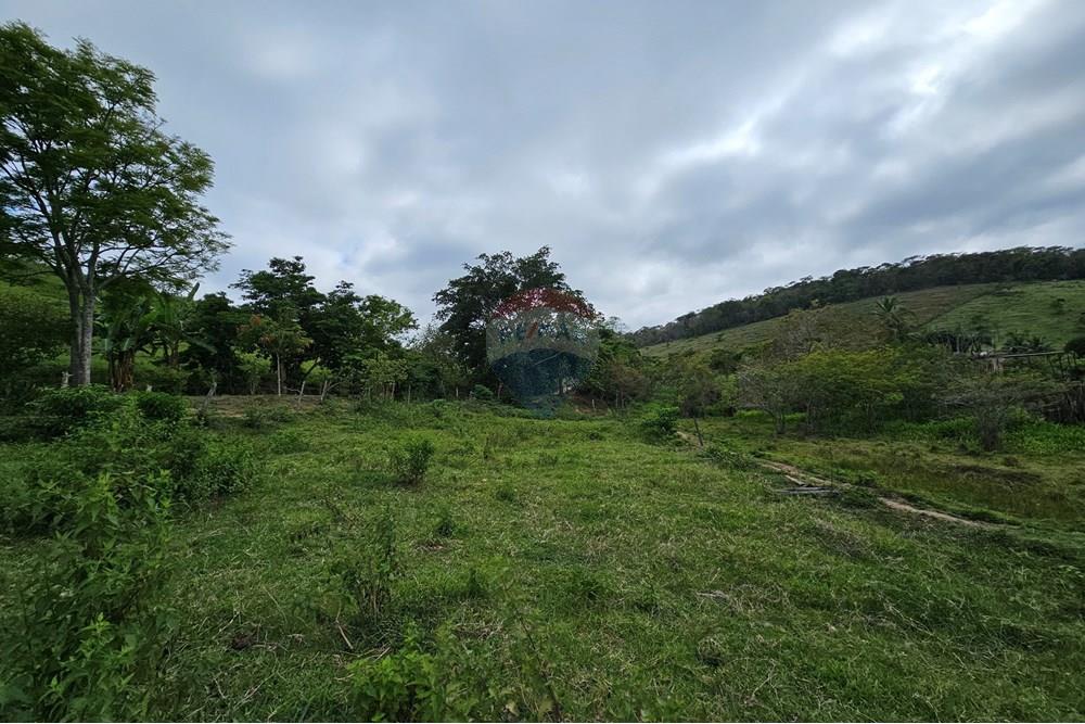 Terreno - Venda - Barão de Monte Alto , Minas Gerais - 20251207_080756.jpg - 860371002-205