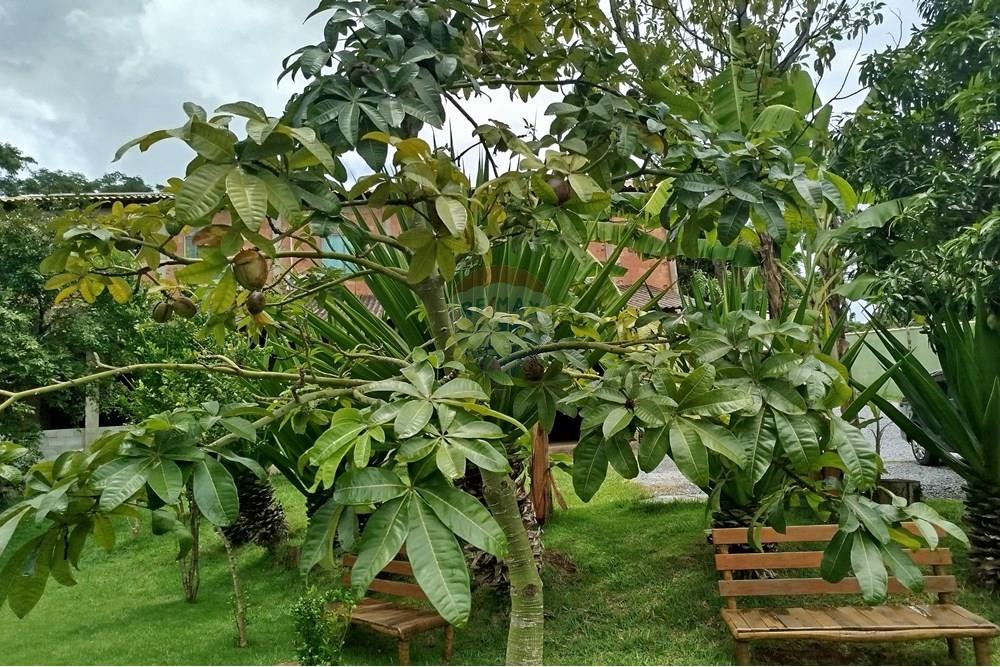 Hotel/ Pousada - Venda - Tiradentes , Minas Gerais - IMG_20250131_120439.jpg - 860391012-33