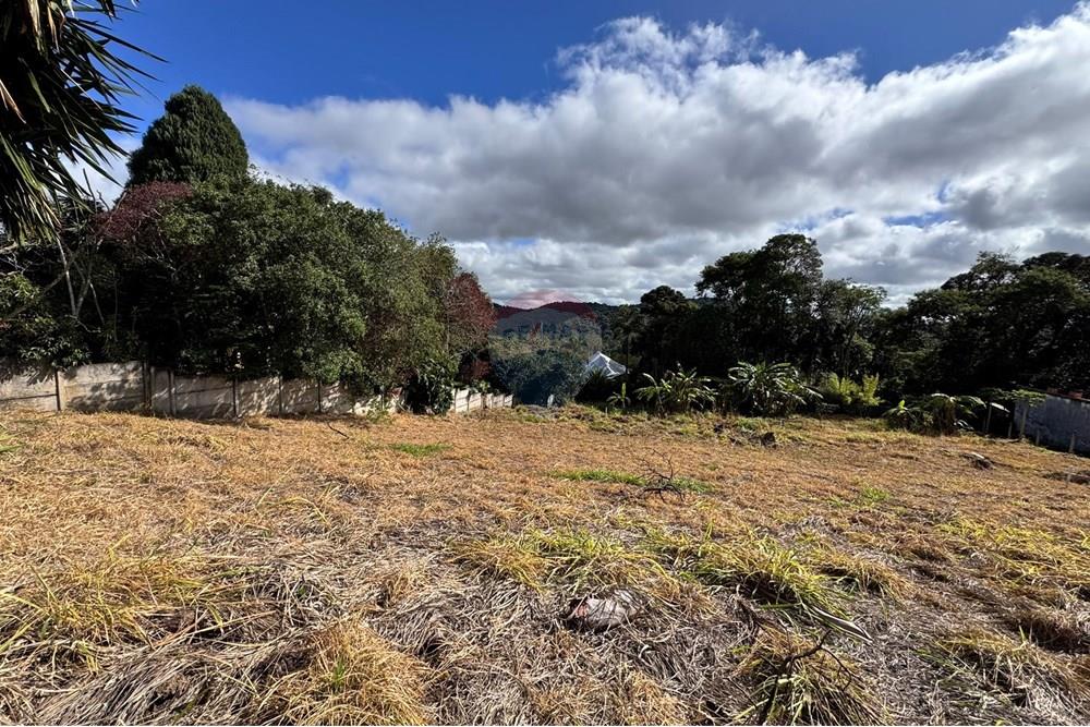 Terreno - Venda - Juiz de Fora , Minas Gerais - IMG_0672.JPEG - 860301001-592