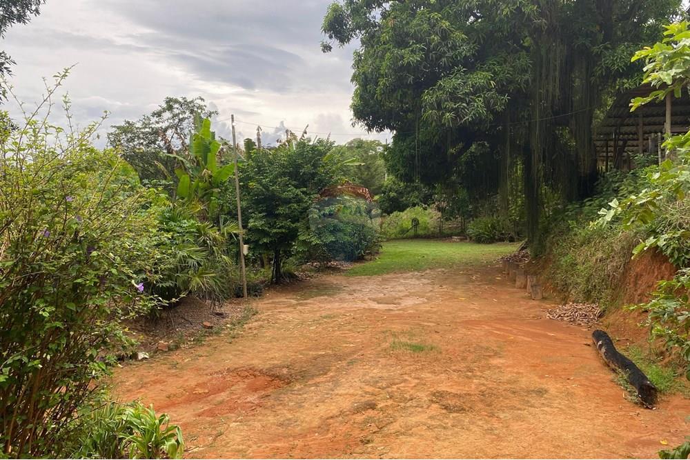 Chácara / Sítio / Fazenda - Venda - Muriaé , Minas Gerais - WhatsApp Image 2025-03-24 at 16.21.13.jpeg - Quintal - 860371002-116