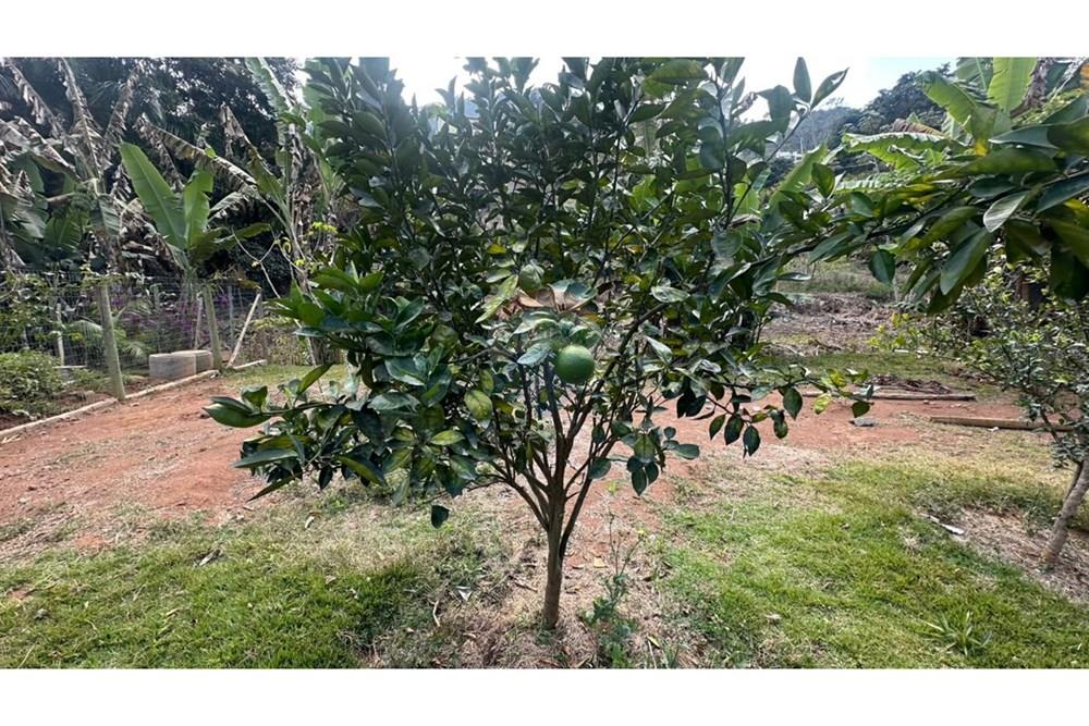 Terreno - Venda - Juiz de Fora , Minas Gerais - fb8cc2eb-f9b2-4ead-8c89-ef3c32cd5bd8.JPG - 860291033-112