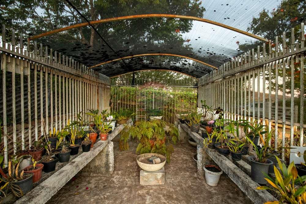 Chácara / Sítio / Fazenda - Venda - Juiz de Fora , Minas Gerais - Campana-34.jpg - Jardim Interno - 860211077-215