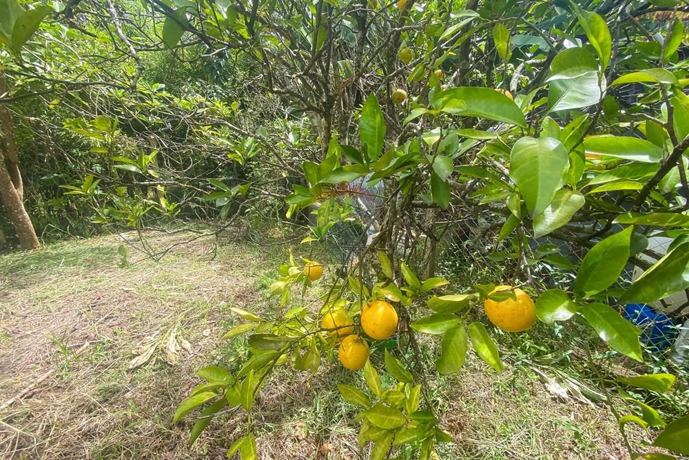 Terreno - Venda - Juiz de Fora , Minas Gerais - Foto0010.jpg - 860241137-15