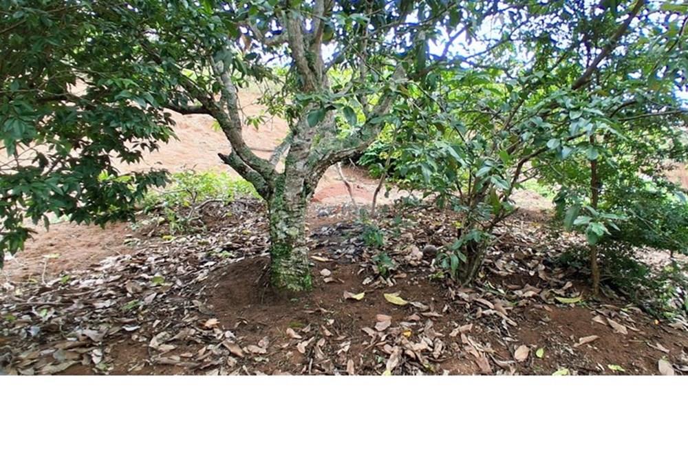 Terreno - Venda - Santa Bárbara do Monte Verde , Minas Gerais - WhatsApp Image 2026-02-23 at 09.11.25.jpeg - 860281098-72