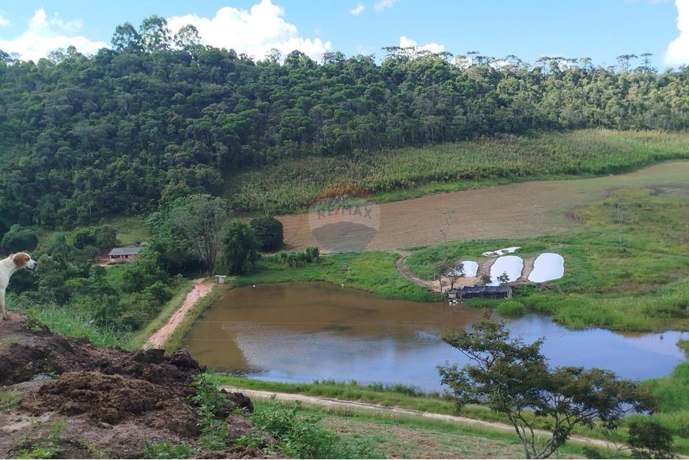 Fazenda - Venda - Barbacena , Minas Gerais - IMG_20250402_144225.jpg - 860391012-32