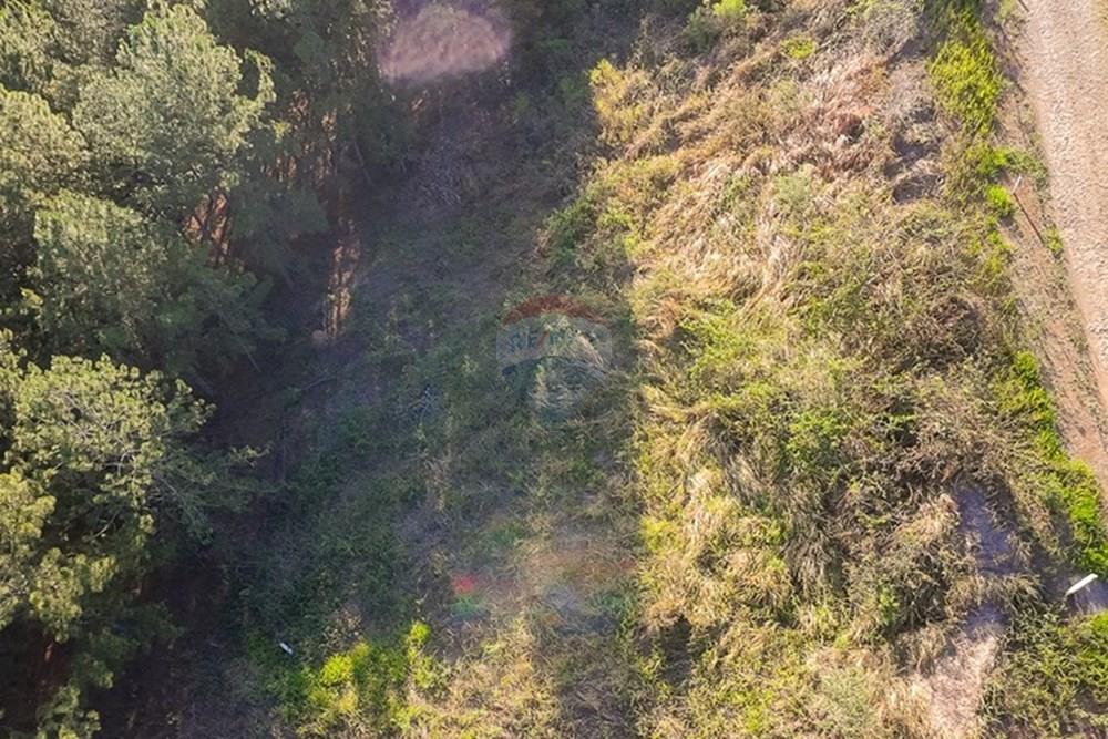 Terreno - Venda - Matias Barbosa , Minas Gerais - michaelseed.photo_SEMANA 2 11-388.jpg - 860361050-63