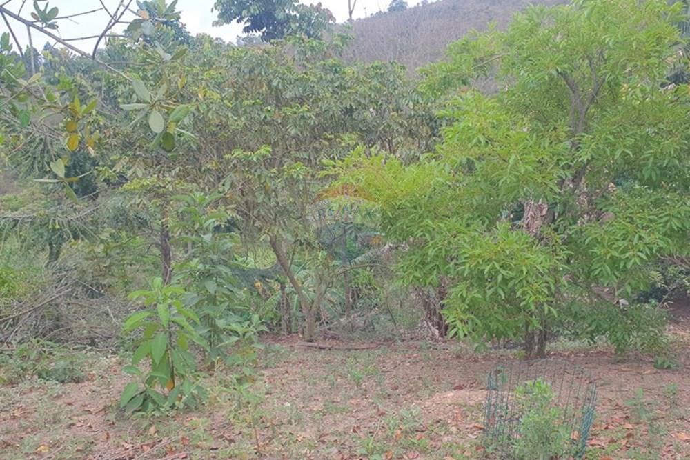 Chácara / Sítio / Fazenda - Venda - Barbacena , Minas Gerais - WhatsApp Image 2025-11-17 at 14.43.29 (4).jpeg - 860391028-24