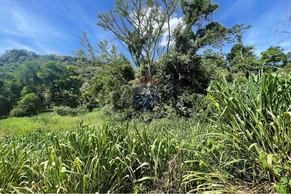 Terreno - Venda - Juiz de Fora , Minas Gerais - 20250204_171033329_iOS.jpg - 860281090-62