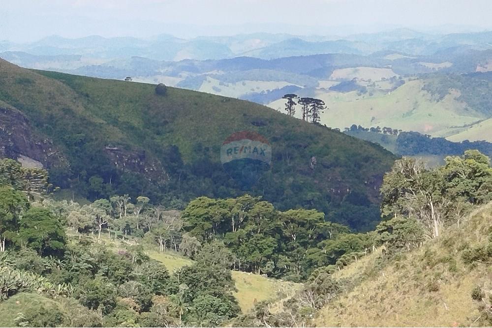 Fazenda - Venda - Barbacena , Minas Gerais - IMG_20250402_150355.jpg - 860391012-32