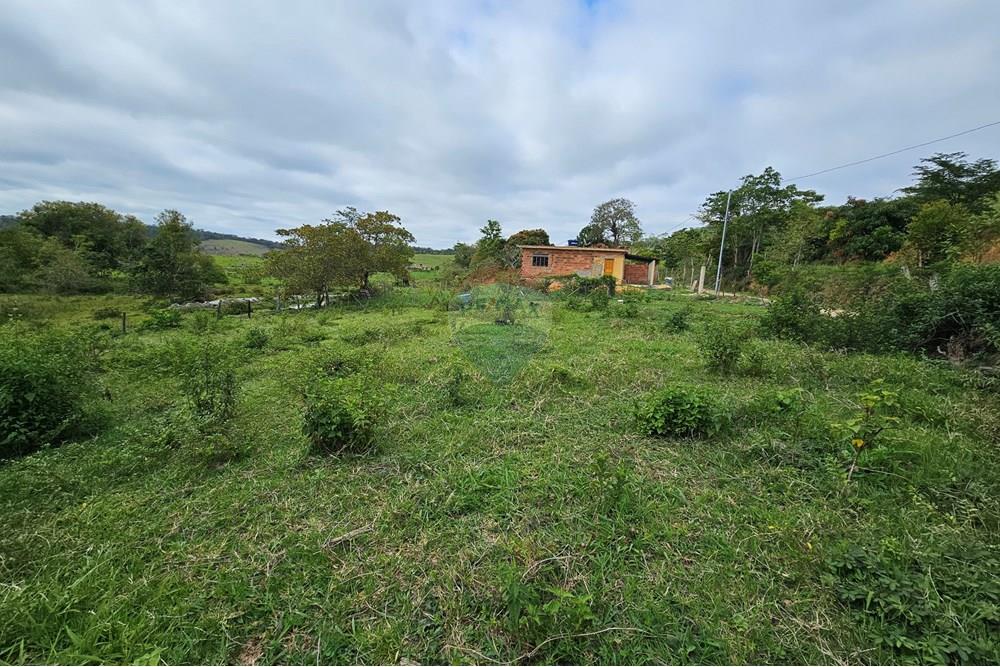 Terreno - Venda - Barão de Monte Alto , Minas Gerais - 20251207_080554.jpg - 860371002-205
