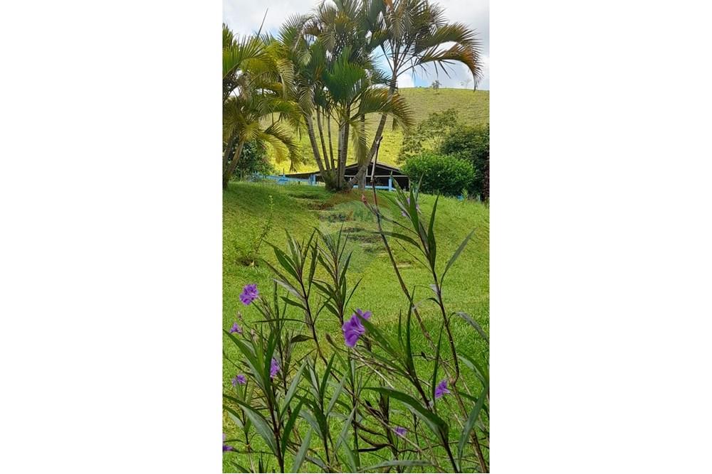 Chácara / Sítio / Fazenda - Venda - Lima Duarte , Minas Gerais - WhatsApp Image 2025-03-01 at 10.18.10(1).jpeg - 860291033-79