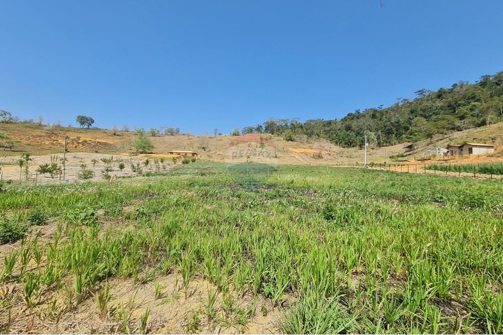 Chácara / Sítio / Fazenda - Venda - Patrocínio do Muriaé , Minas Gerais - 1000322291.jpg - 860371002-115