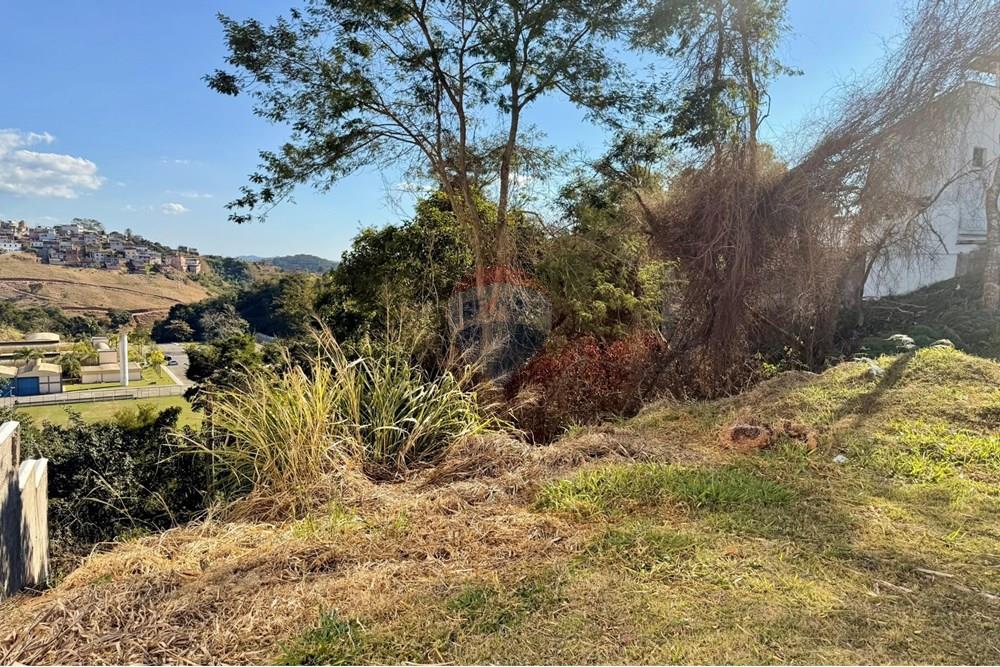 Terreno - Venda - Juiz de Fora , Minas Gerais - IMG_0014.JPEG - 860291010-325