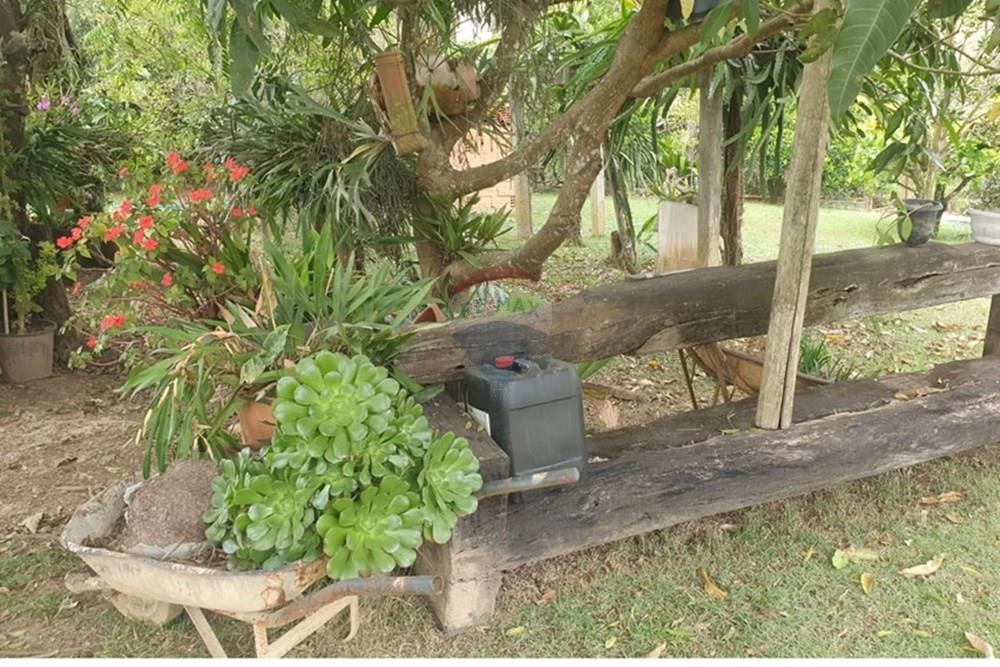 Chácara / Sítio / Fazenda - Venda - Barbacena , Minas Gerais - WhatsApp Image 2025-11-17 at 14.43.28 (13).jpeg - 860391028-24