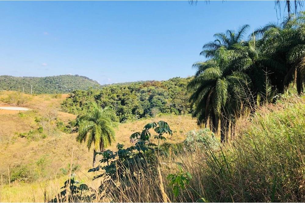 Terreno - Venda - Matias Barbosa , Minas Gerais - photo_5006023274320211422_y.jpg - 860321021-36