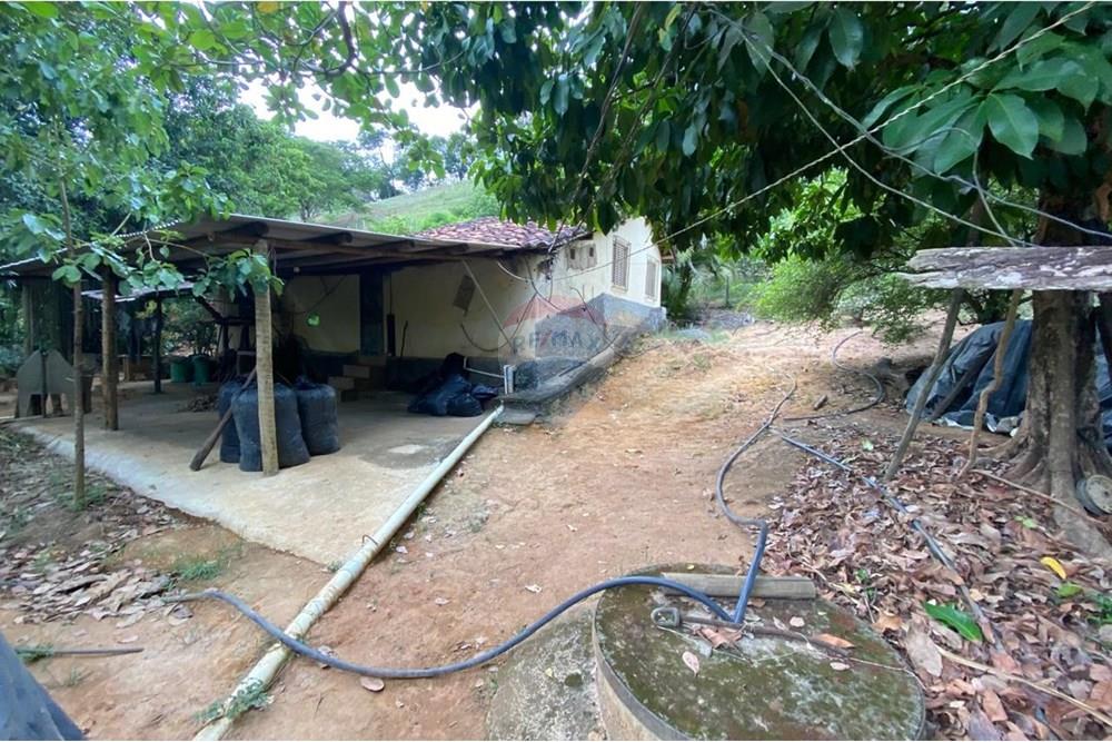 Chácara / Sítio / Fazenda - Venda - Muriaé , Minas Gerais - WhatsApp Image 2025-03-24 at 12.32.20.jpeg - 860371002-116