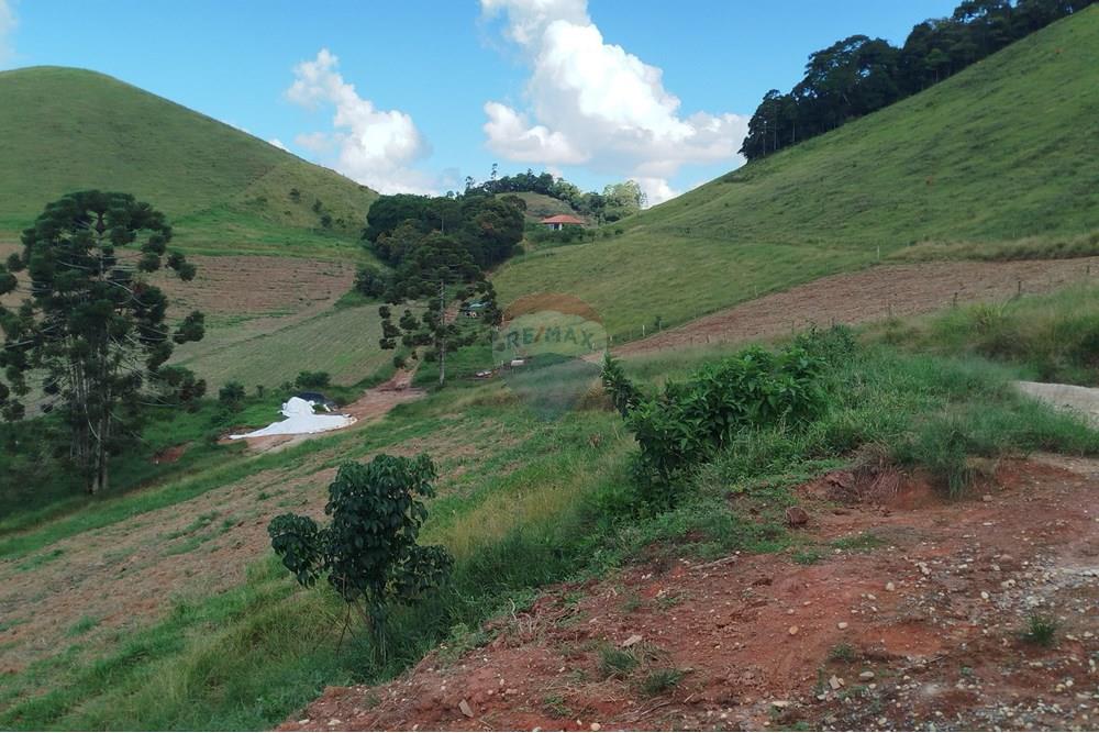 Fazenda - Venda - Barbacena , Minas Gerais - IMG_20250402_144241.jpg - 860391012-32