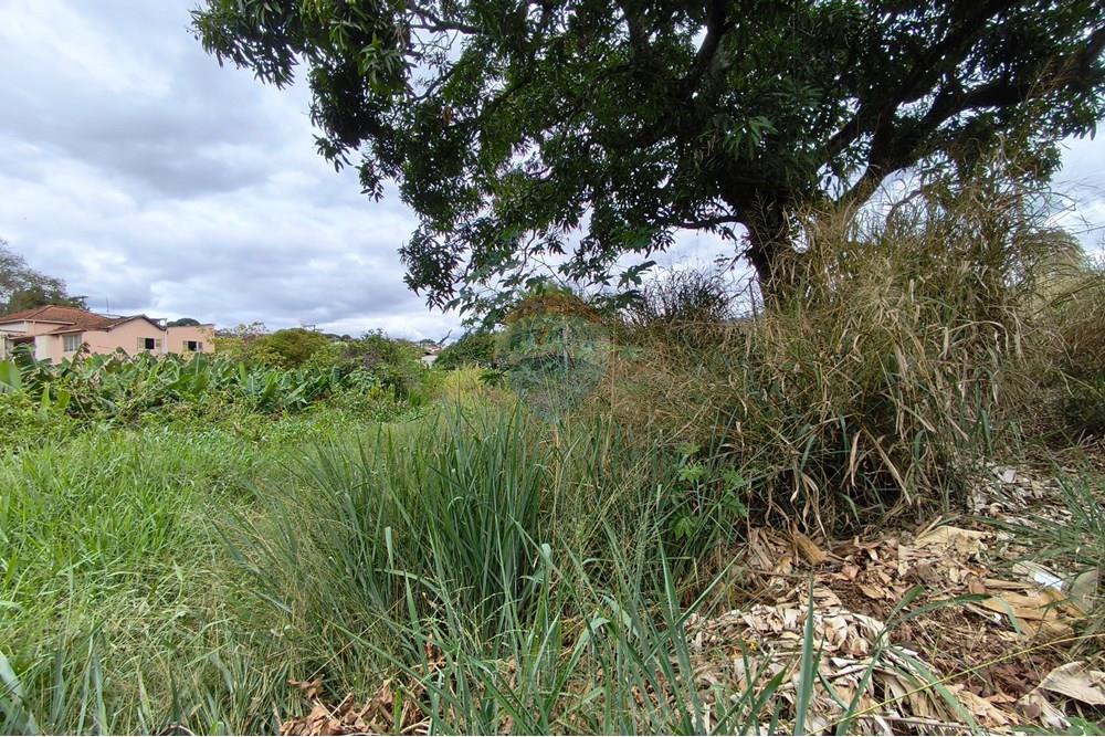 Terreno - Venda - Ribeirão Vermelho , Minas Gerais - IMG_20251019_134025.jpg - 860471037-17