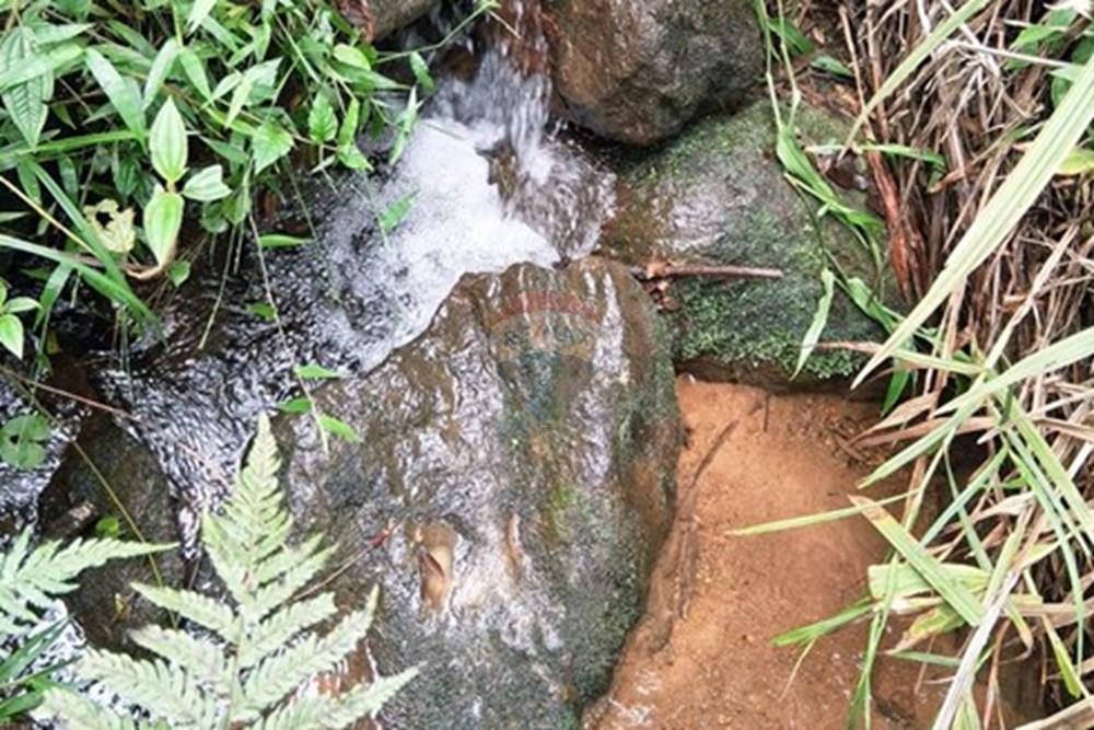 Chácara / Sítio / Fazenda - Venda - Rio Preto , Minas Gerais - WhatsApp Image 2026-01-10 at 15.06.26.jpeg - 860281098-65